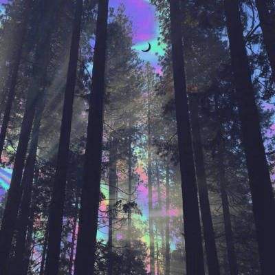 bb平台体育app官网