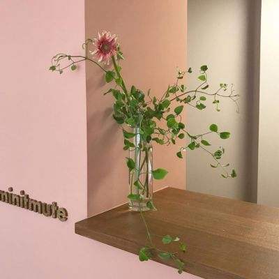 开元ky7818老版本下载手机版